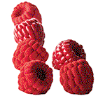 Image of Pavoni Lampone