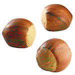 Image of Pavoni Hazelnut