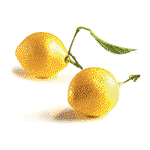 Image of Pavoni CITRON