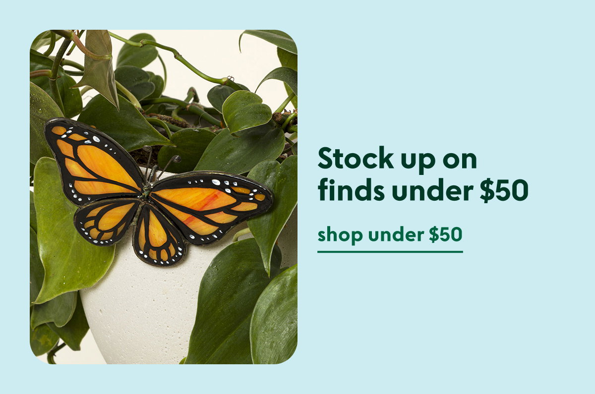 Stock up on finds under $50