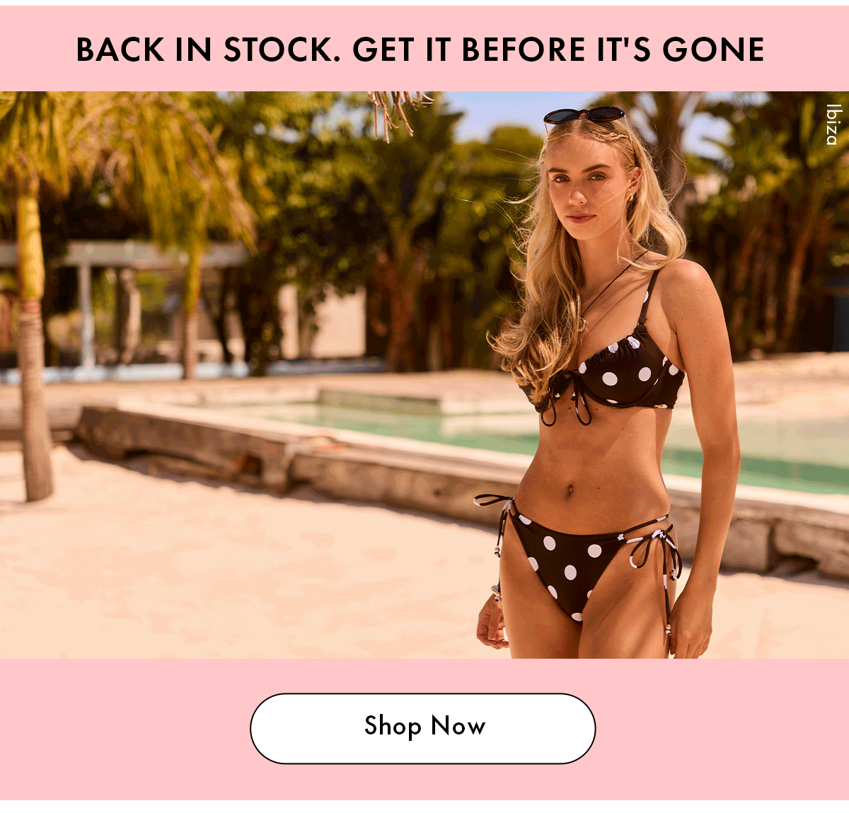 BACK IN STOCK. GET IT BEFORE IT'S GONE