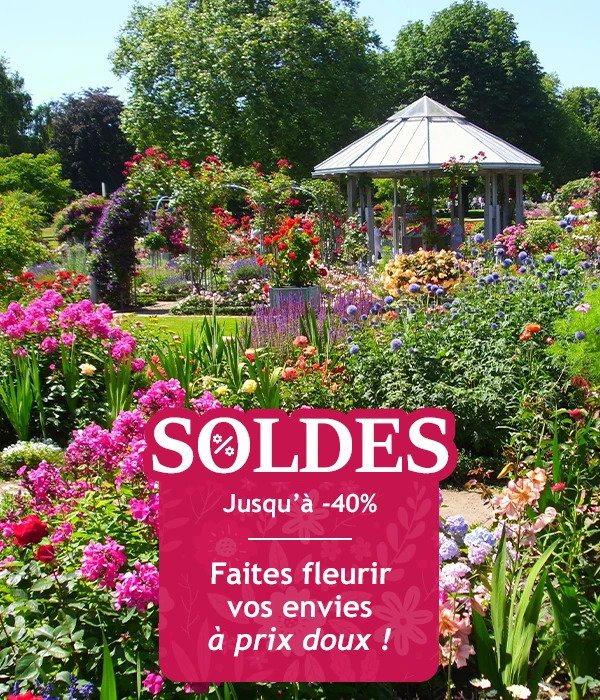 Les soldes d’été commencent jusqu’à -40% de remise !