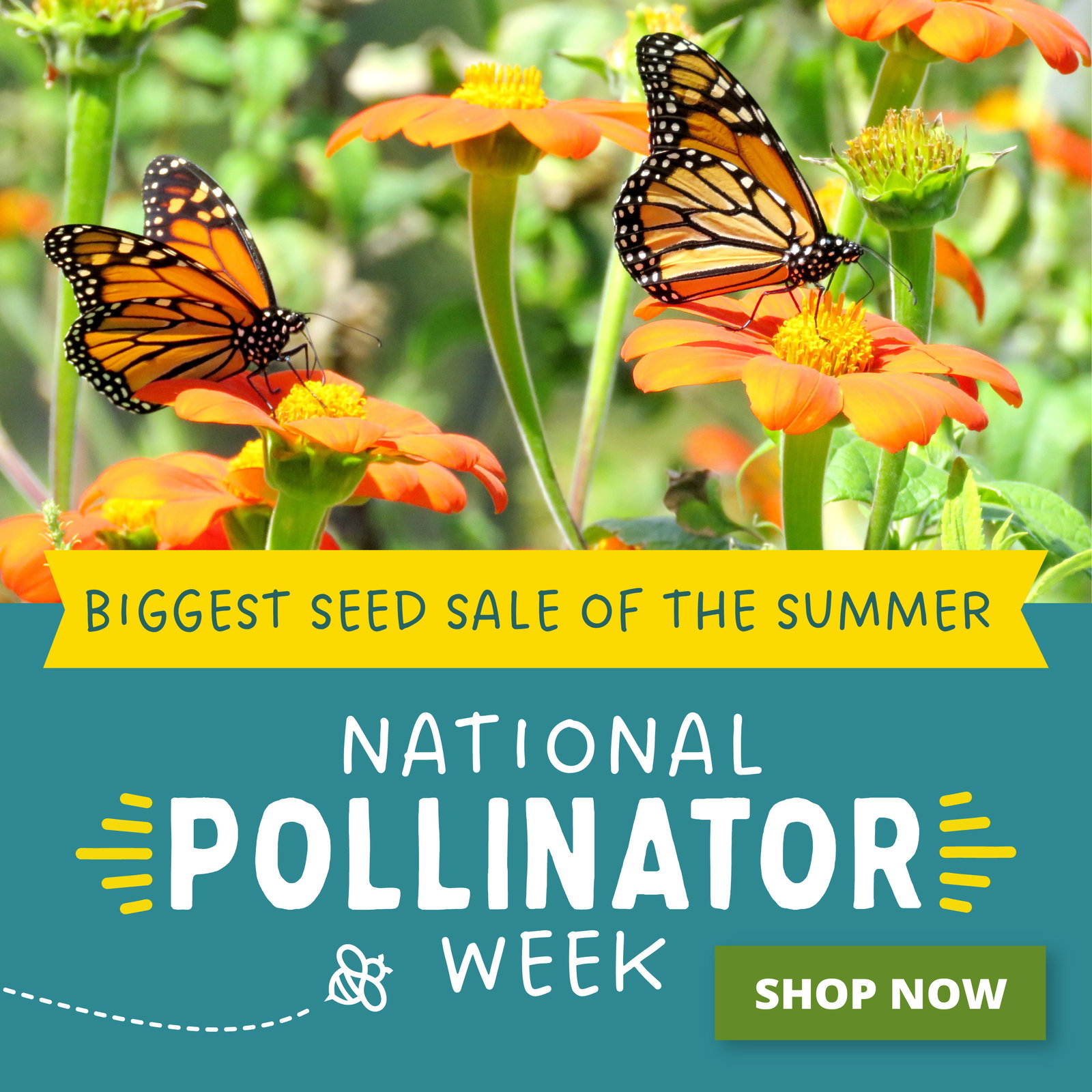 Biggest Seed Sale Of The Summer!