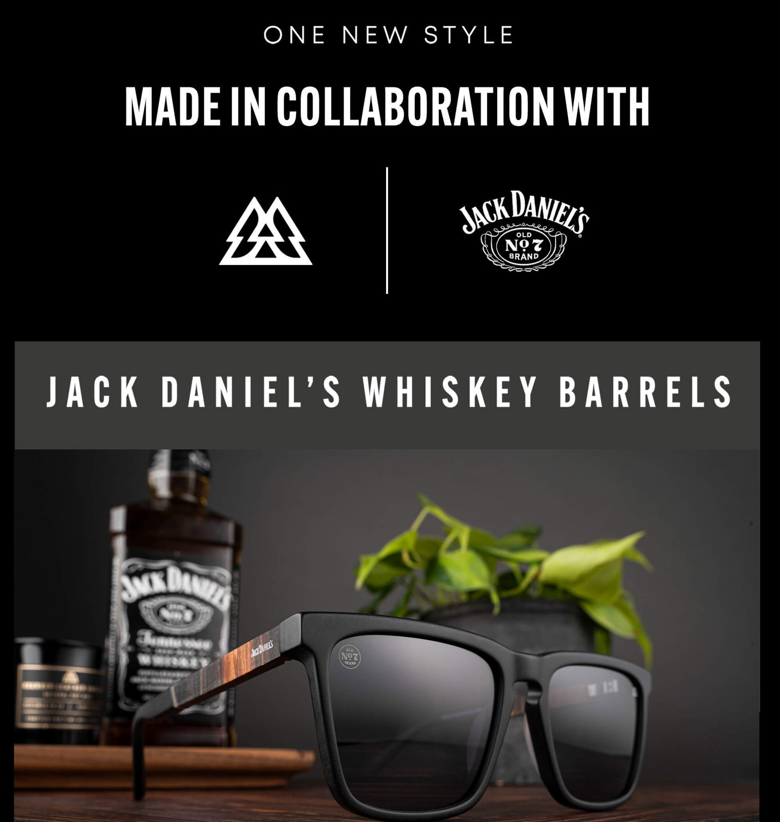 Jack Daniel's Sunglasses