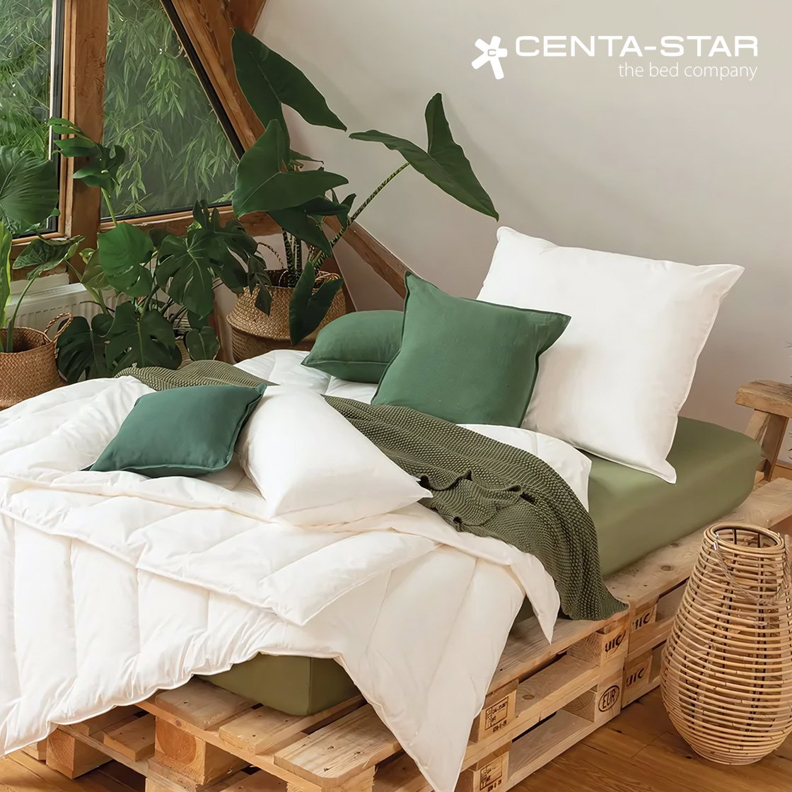 20 % auf CENTA-STAR