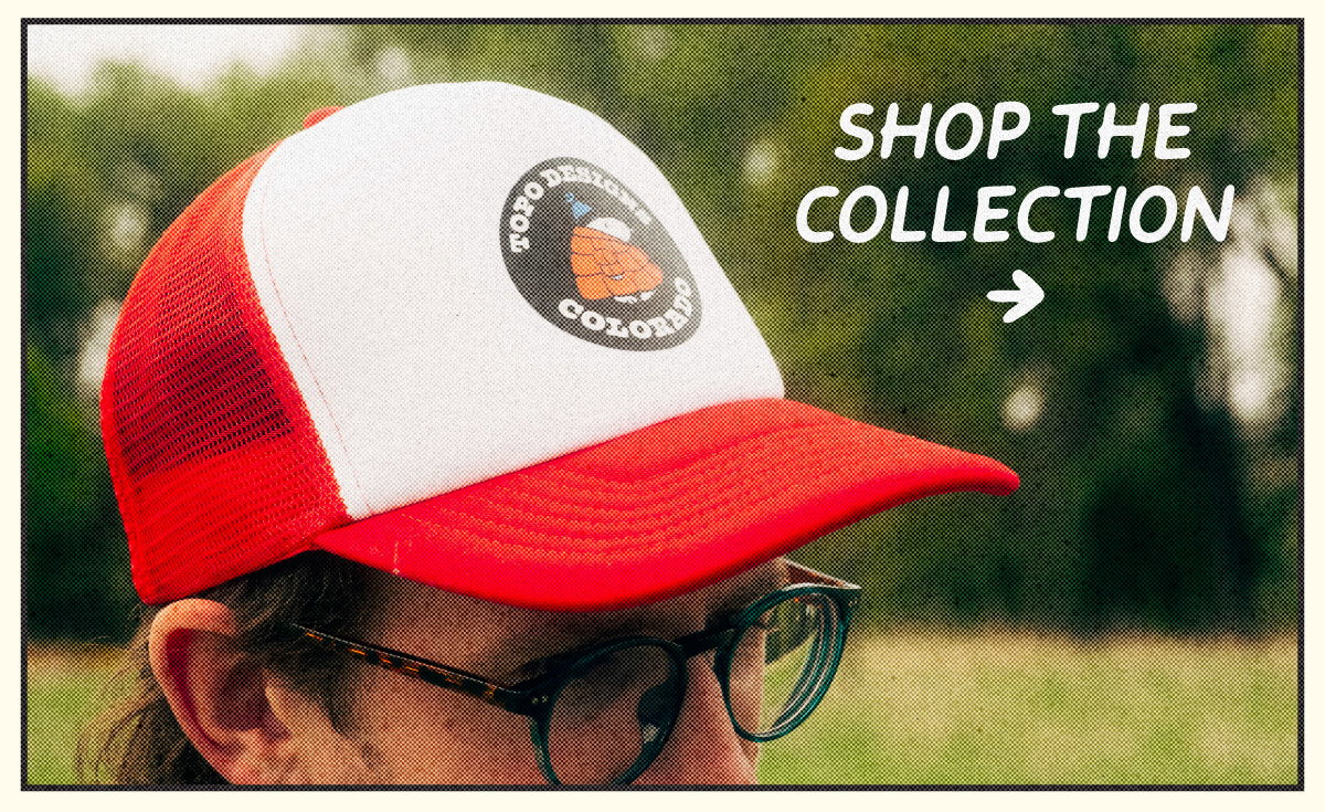 Shop the Collection