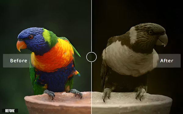 80 Cool Photoshop Actions for Effortless Editing