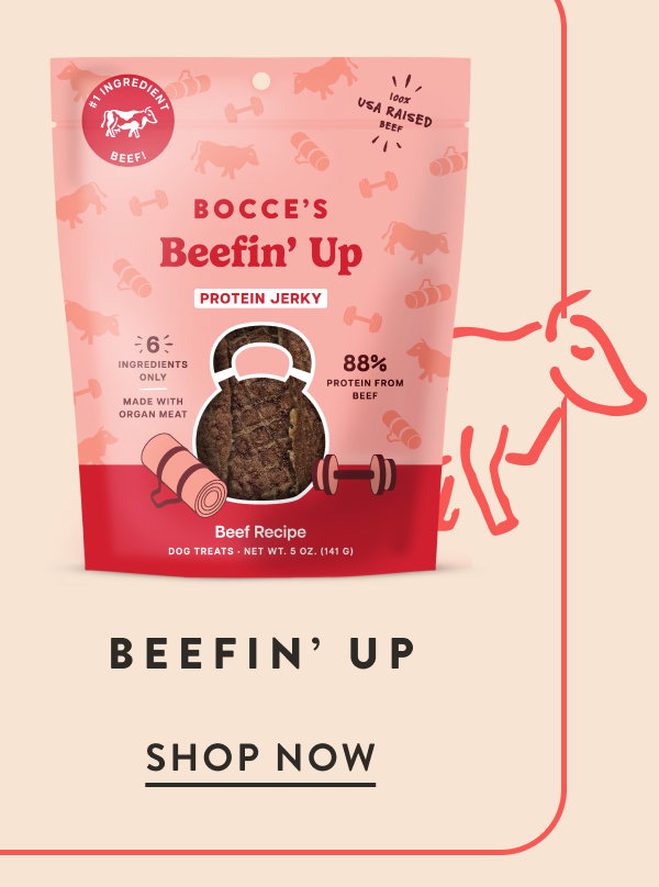 Shop Beefin' Up Jerky Cuts