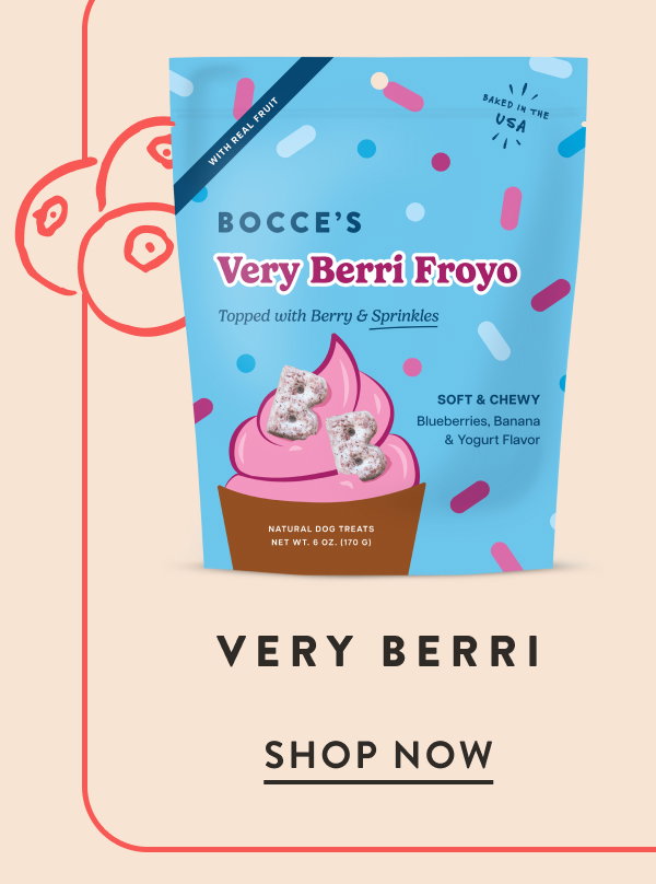 Shop Very Berri Froyo