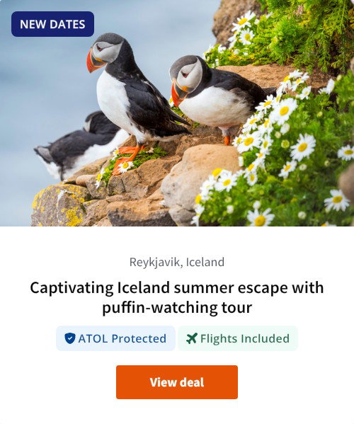 Captivating Iceland summer escape with puffin-watching tour