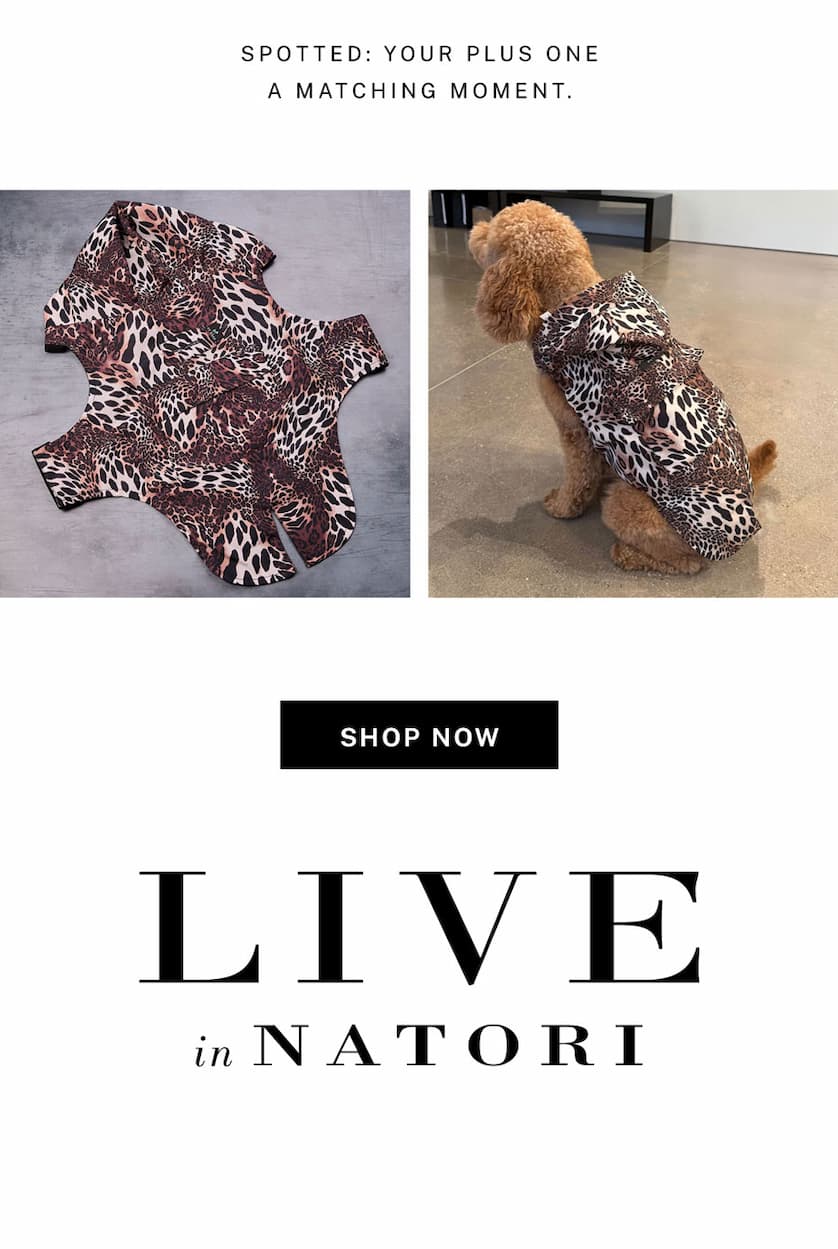 Dog Apparel