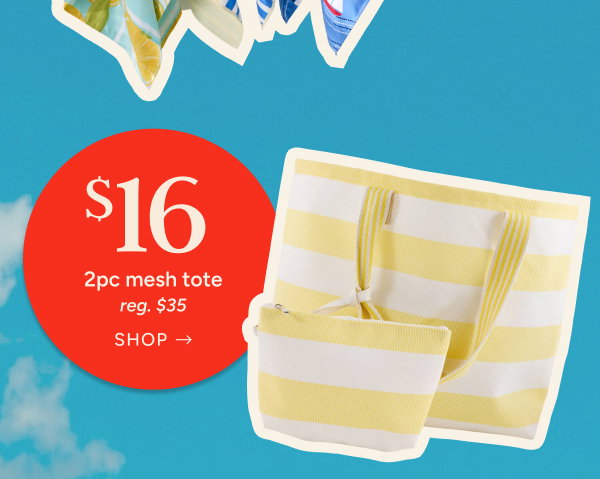 $16 2pc Mesh Tote (reg. $35)