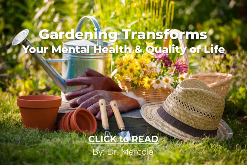 Scott Mendelson - gardening transforms mental health