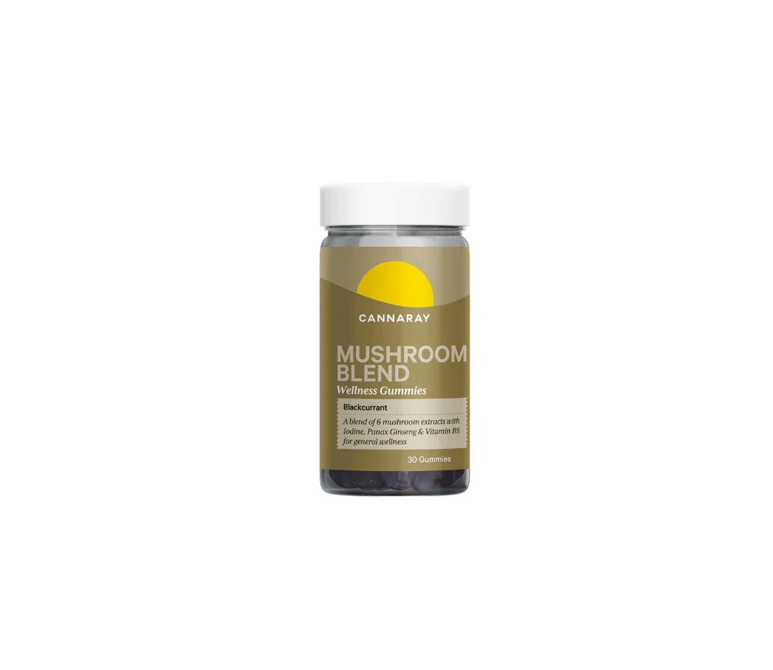 Image of Mushroom Blend Gummies