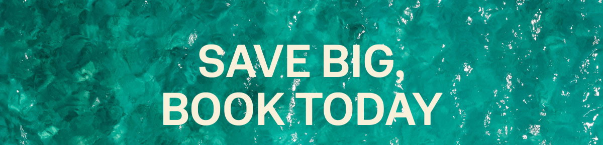 Save Big Book Today