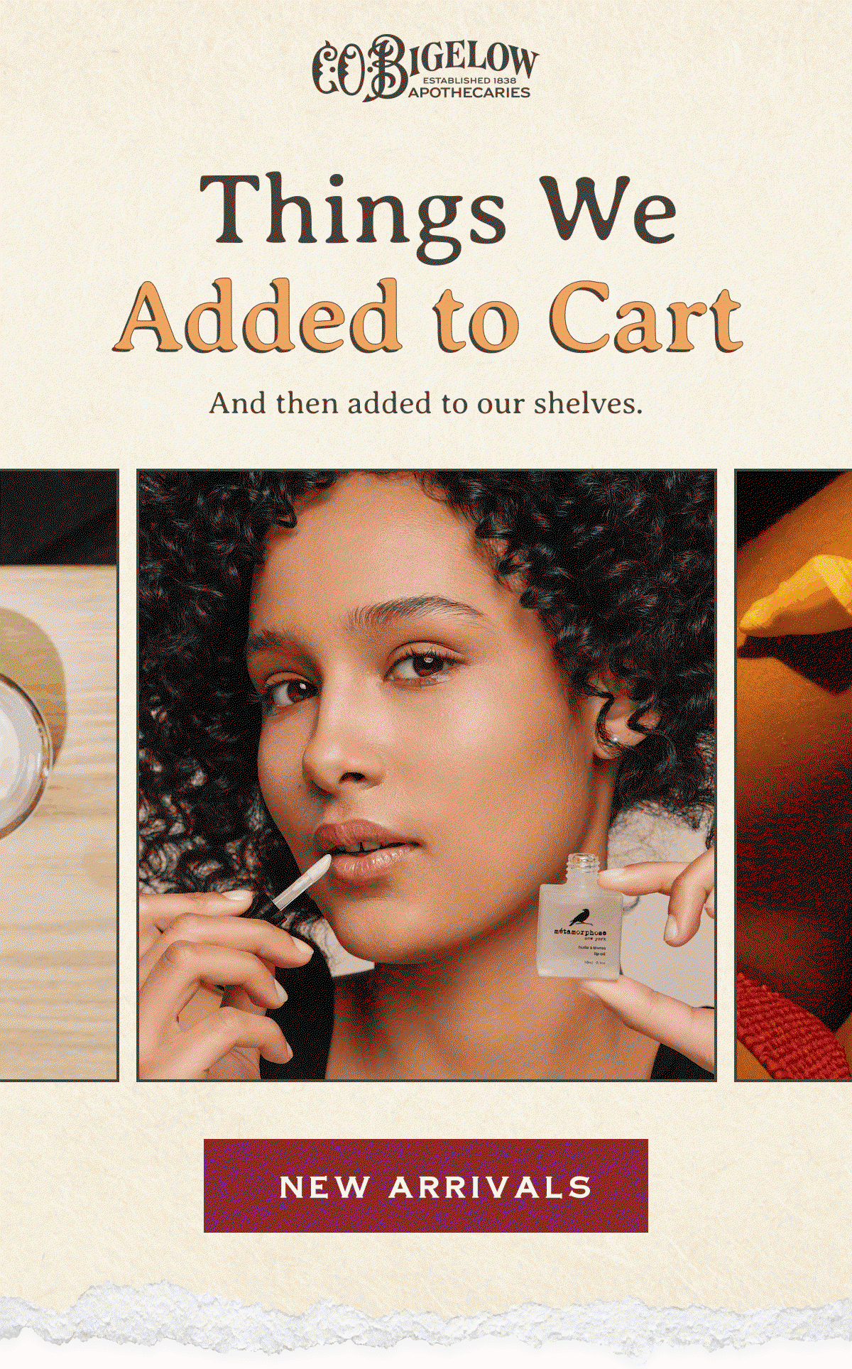 Things We Added to Cart | And then added to our shelves. | NEW ARRIVALS