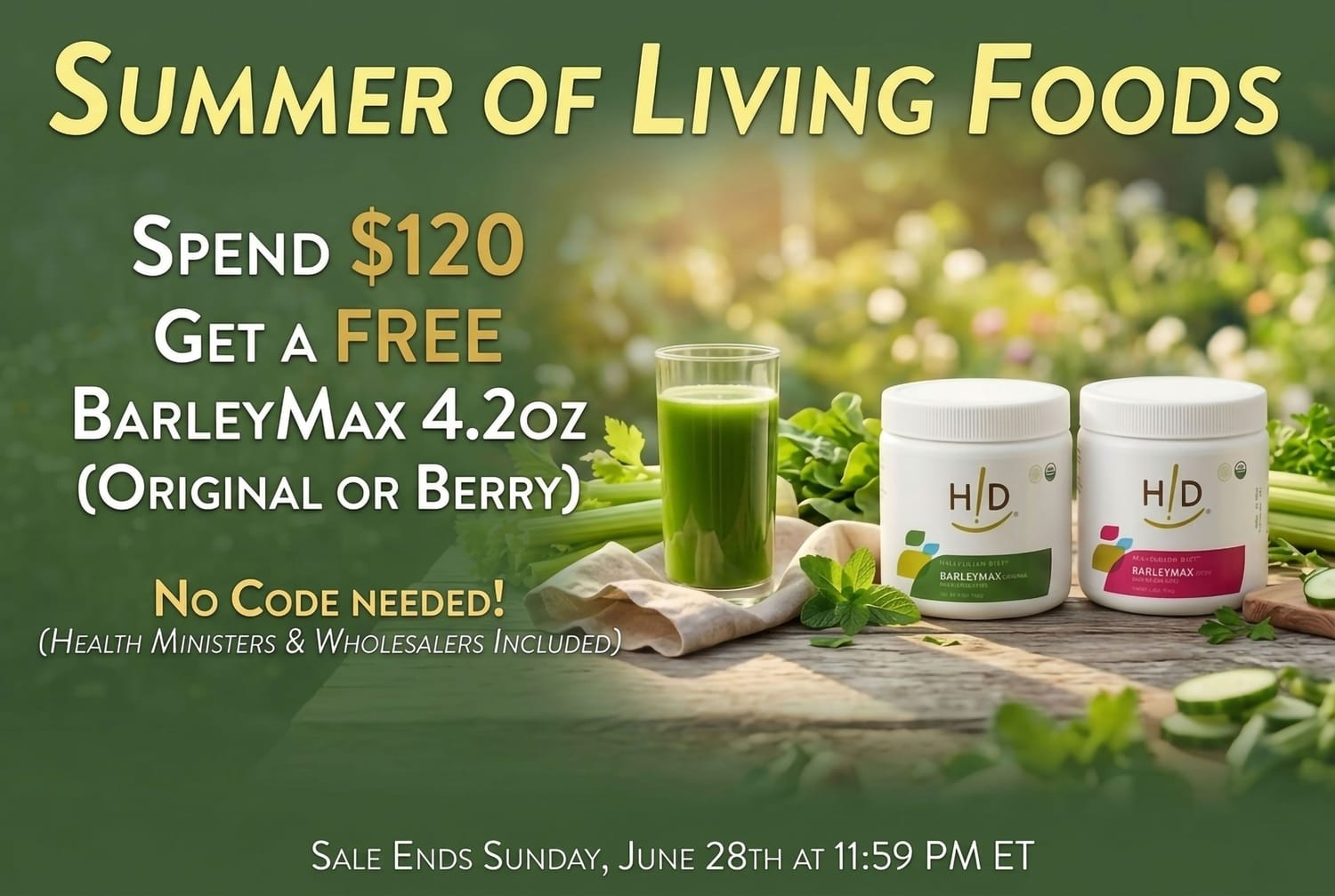 Summer of Living Food 