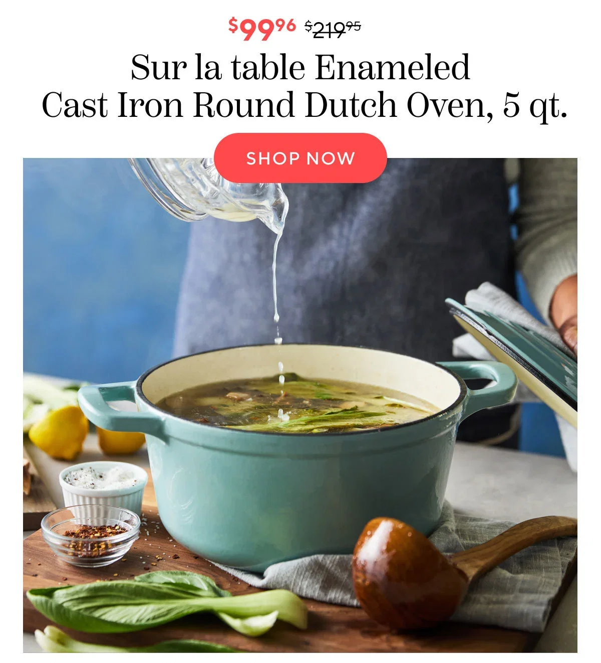 Sur La Table Enameled Cast Iron Round Dutch Oven, 5 qt.