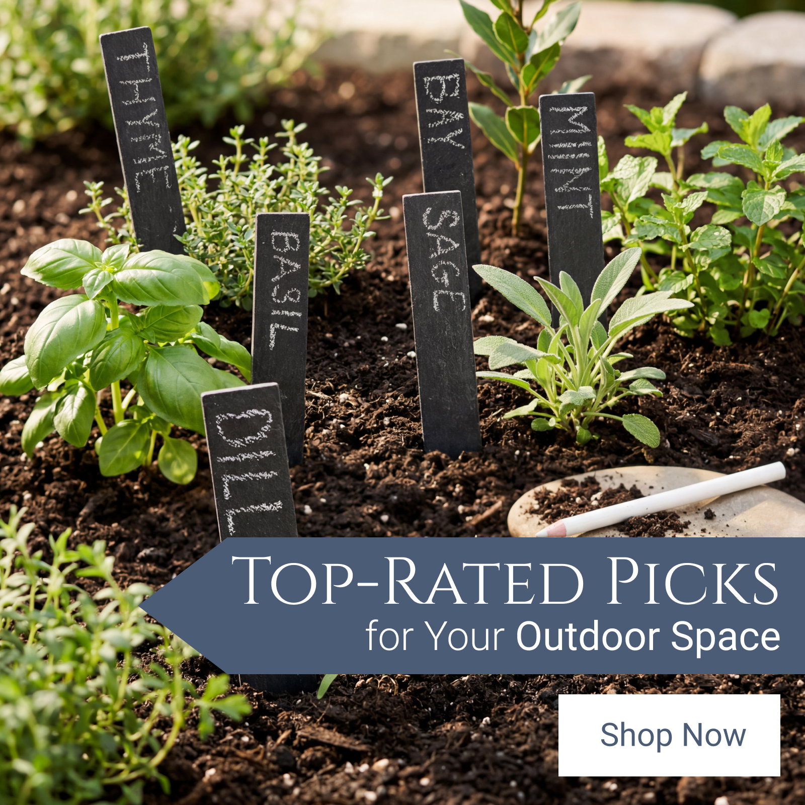 Top Rated