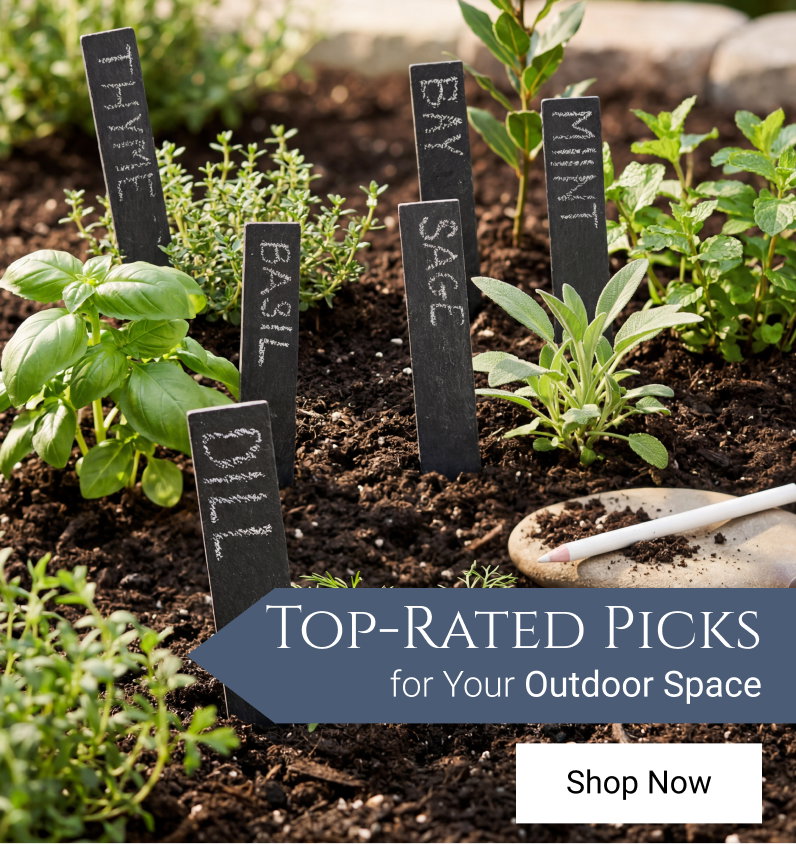 Top Rated