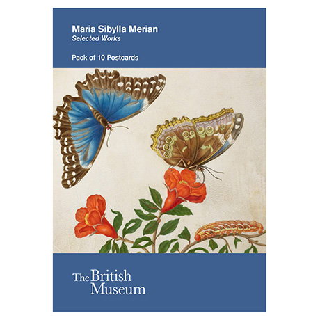 Cover for pack of ten postcards featuring artwork by Maria Sibylla Merian. -Shop Now.