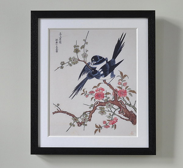 Framed print depicting a pair of magpies sitting on a prunus branch with pink blossoming flowers. - Animal Custom Prints.