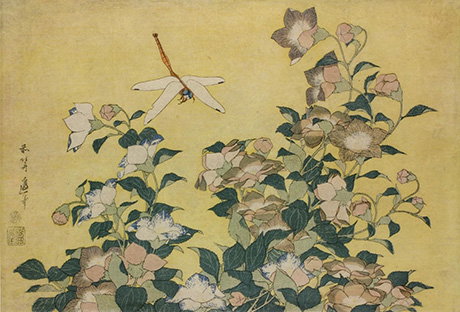 Dragonfly flying above a kikyo plant. - Custom Print.