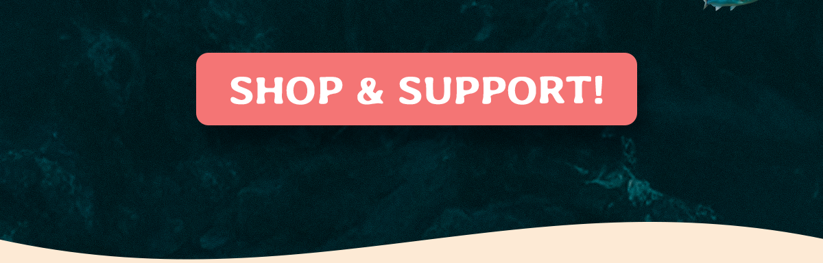 Every Fahlo purchase supports partners working to protect animals in the wild, from sea turtles mistaking plastic bags for jellyfish to dolphins tangled in discarded fishing gear. Your bracelet does more than you think.