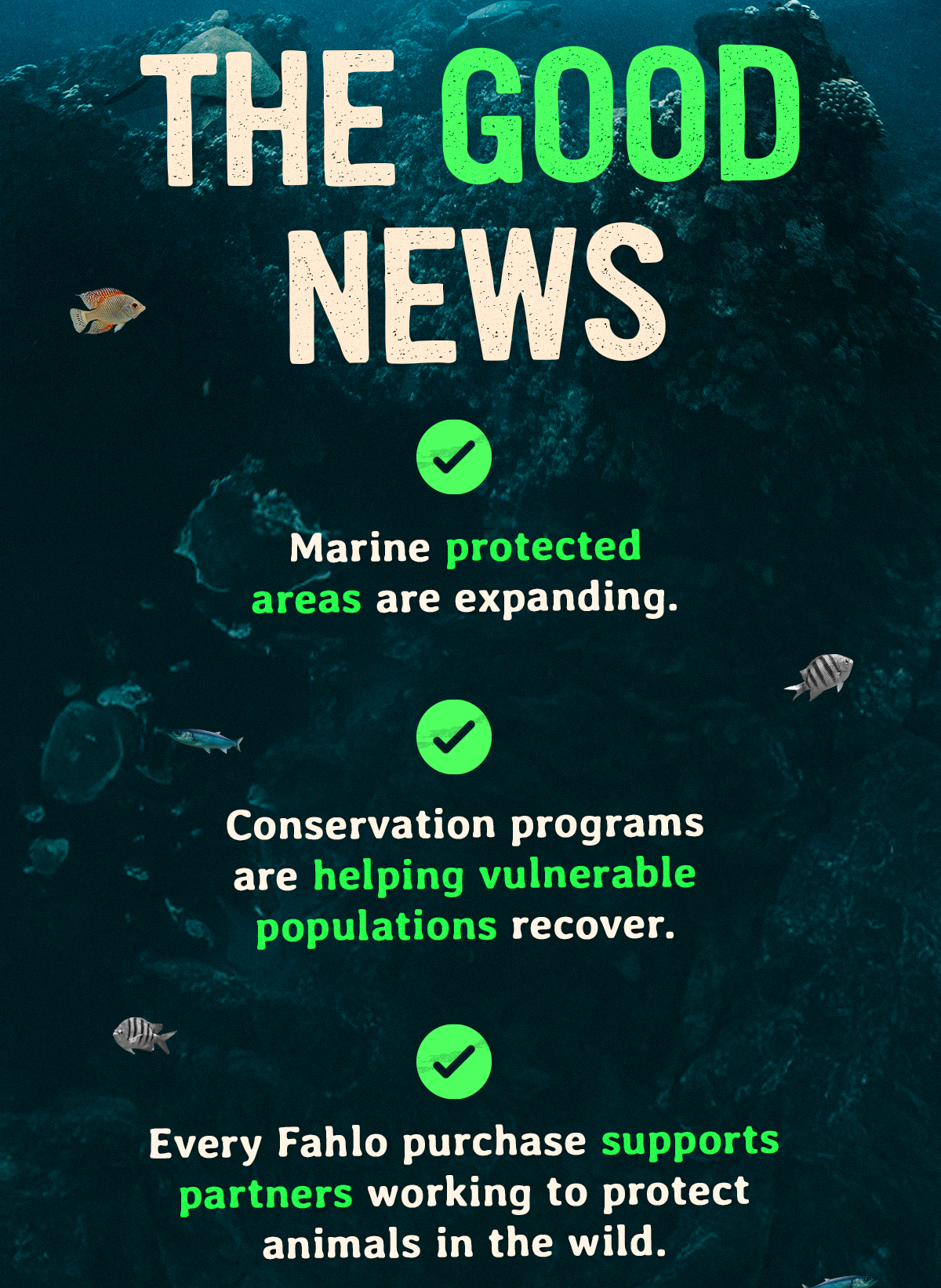 The good news is that marine protected areas are expanding and conservation programs are helping vulnerable populations recover. Every Fahlo purchase supports the partners making that progress possible.