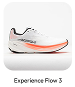 Experience Flow 3