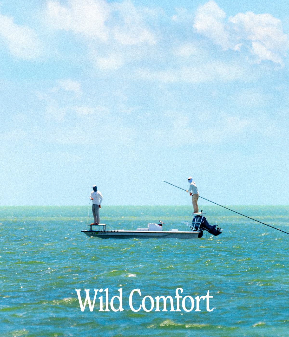 Wild Comfort