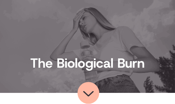 Heat Waves & Cortisol Spikes
