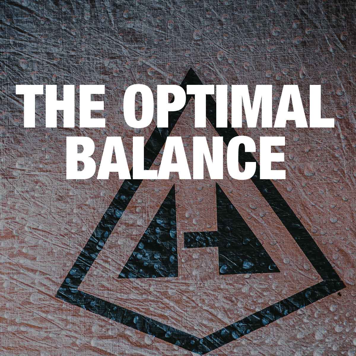 THE OPTIMAL BALANCE