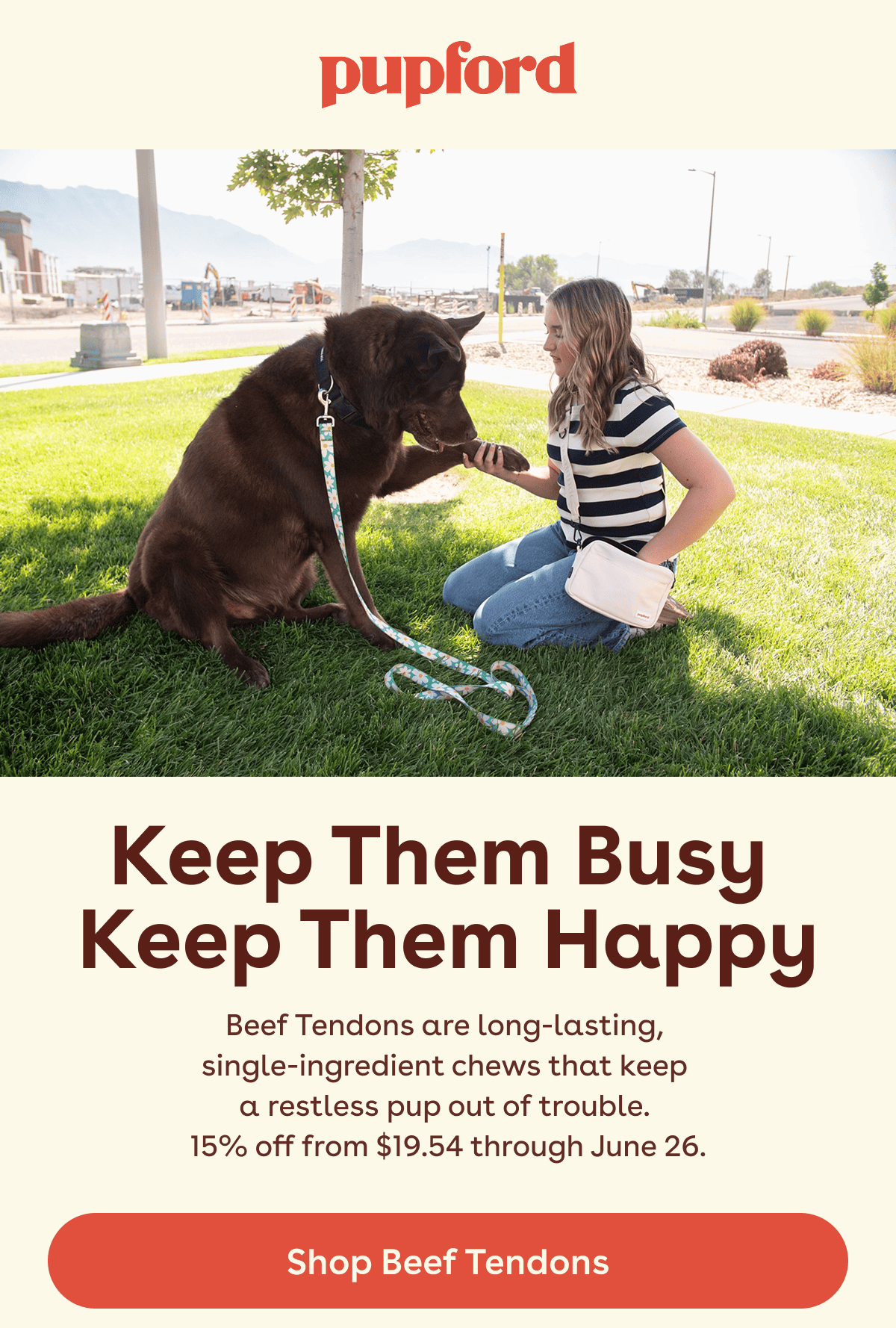 Shop beef tendons 