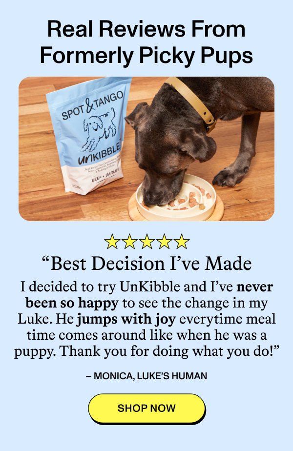 Real Reviews From Formerly Picky Pups  ★★★★★  “Best Decision I’ve Made  I decided to try UnKibble and I’ve never been so happy to see the change in my Luke. He jumps with joy everytime meal time comes around like when he was a puppy. Thank you for doing what you do!”  – MONICA, LUKE’S HUMAN  [SHOP NOW]