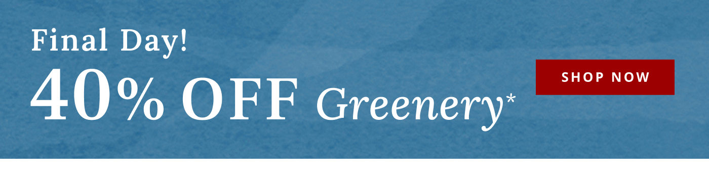 Final Day! 40% Off Greenery*
