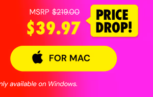 Microsoft Office Home & Business for Mac 2021: Lifetime License