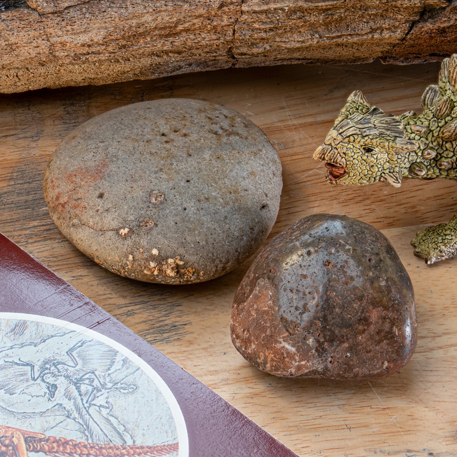Image of Dinosaur Gastrolith - Gut Stone