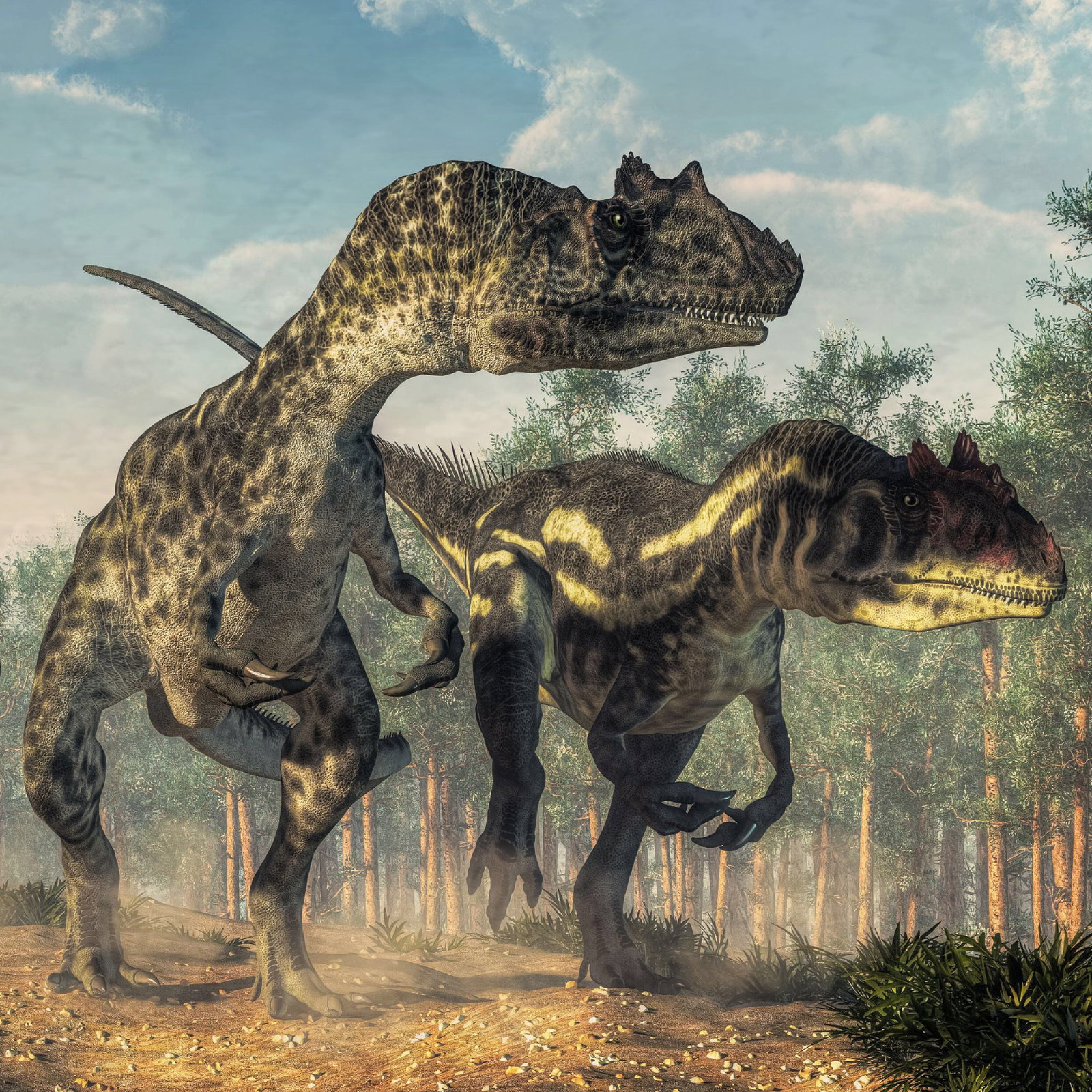 Image of Allosaurus Vertebra