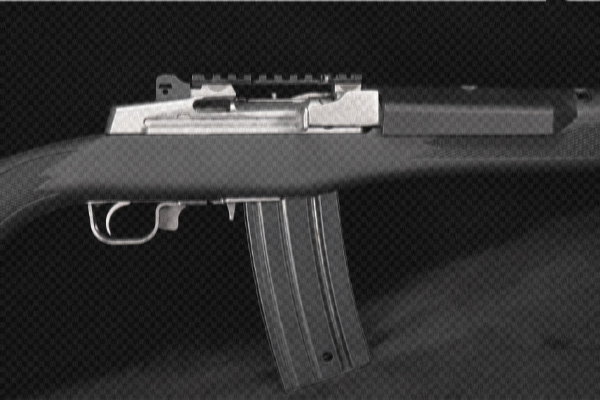 Ruger Mini 14
