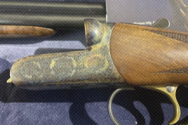 Engraved Guns