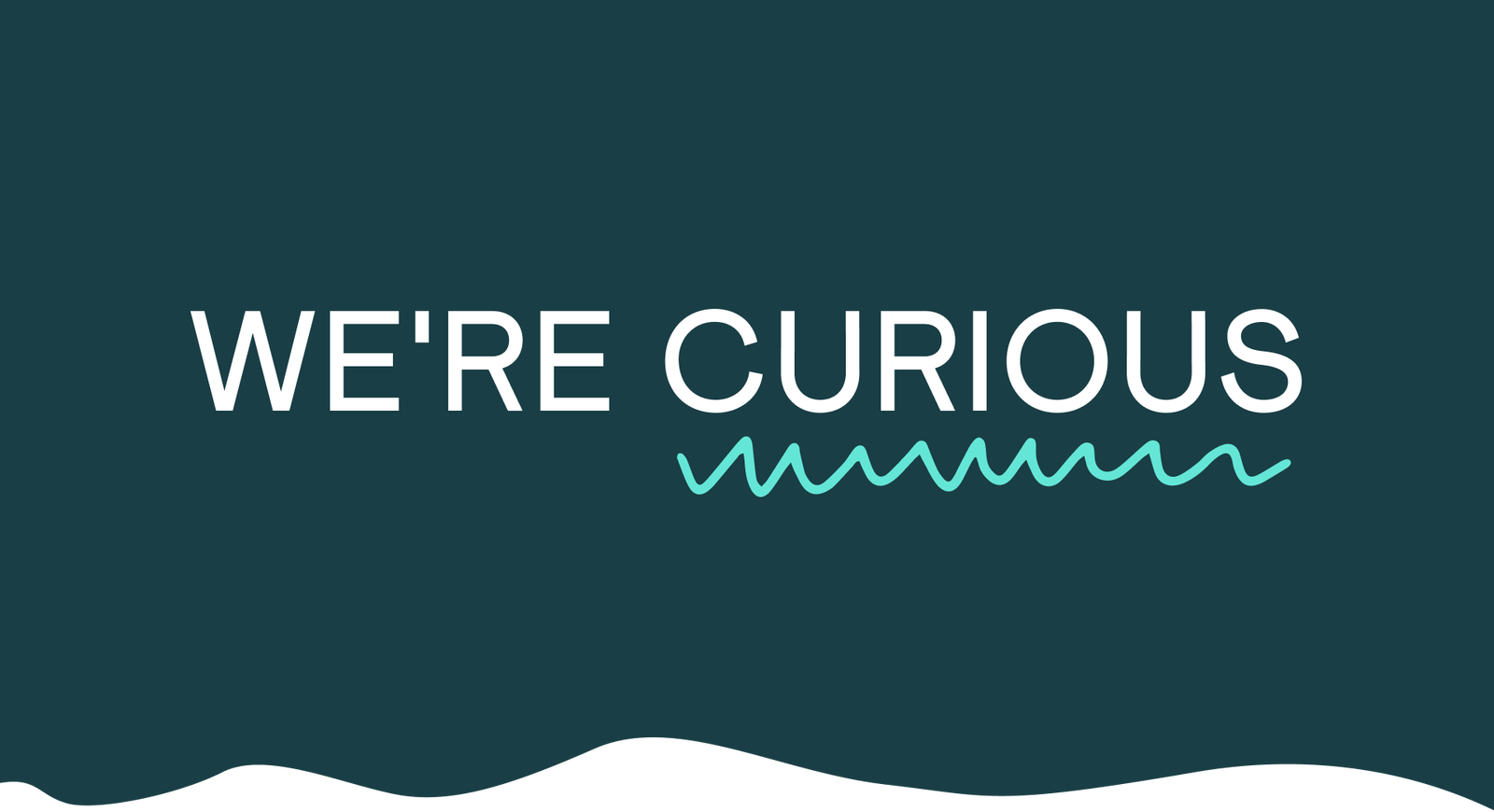 We're Curious
