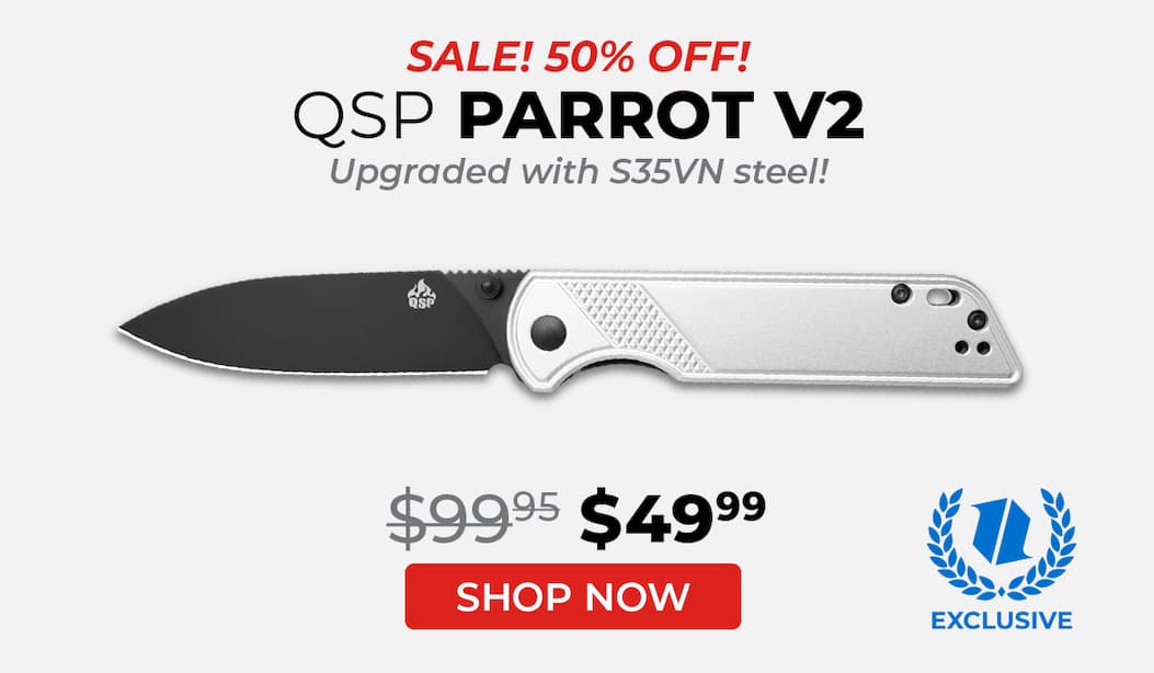 QSP Parrot V2