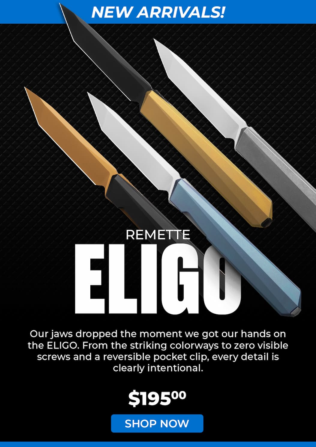 REMETTE ELIGO