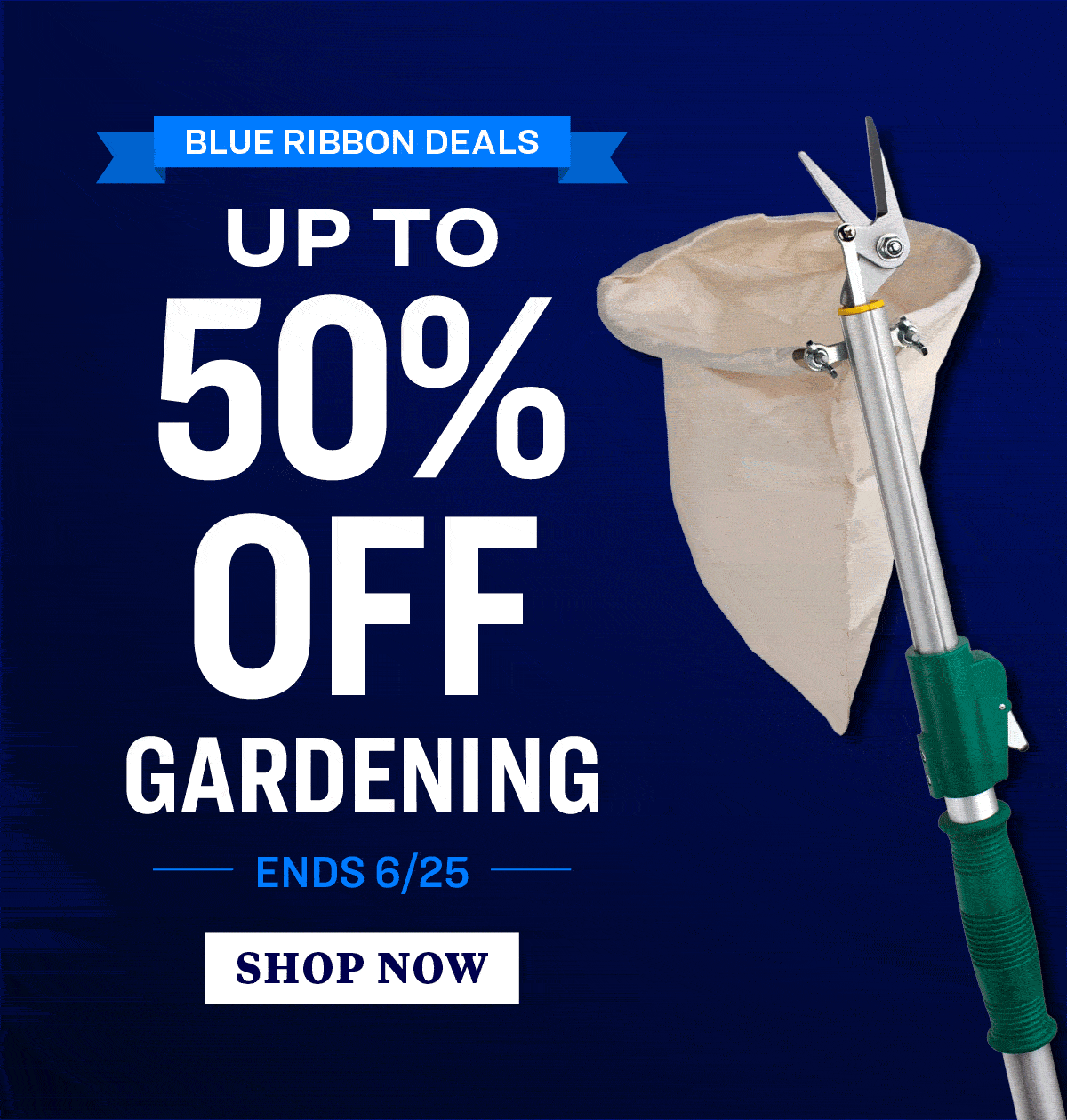 blue ribbon deals