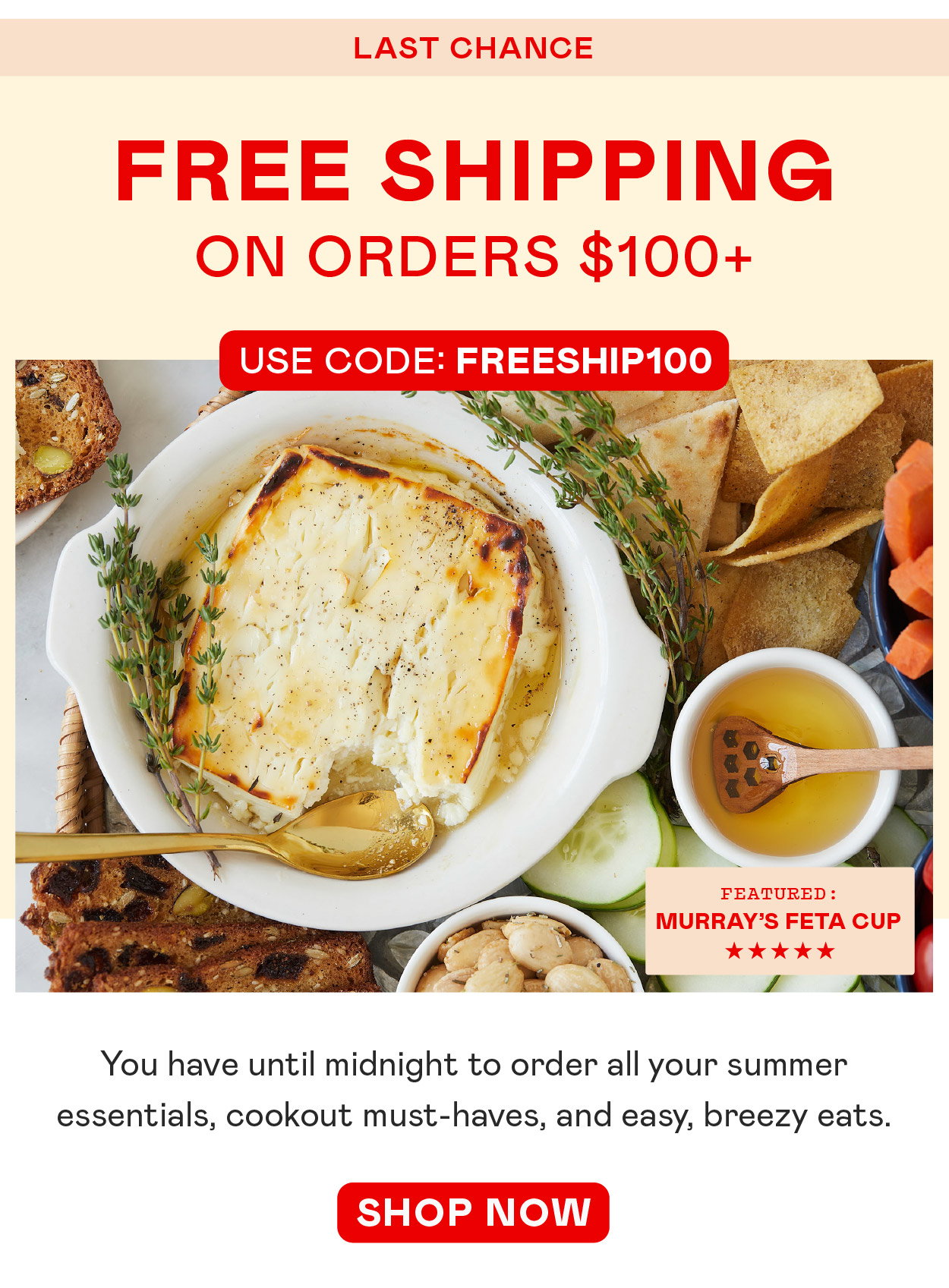 Last Chance for Free Shipping on Orders $100+​