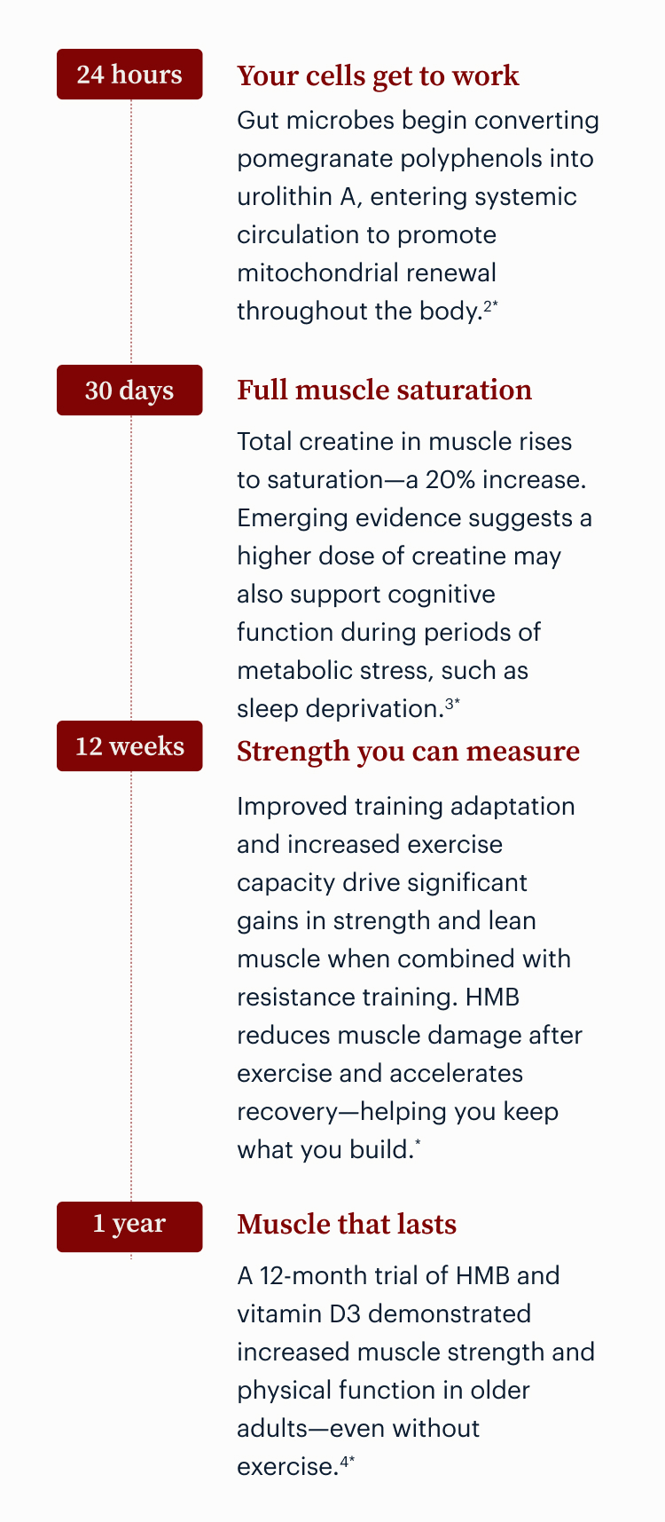 Your cells get to work | Full muscle saturation | Strength you can measure | Muscle that lasts