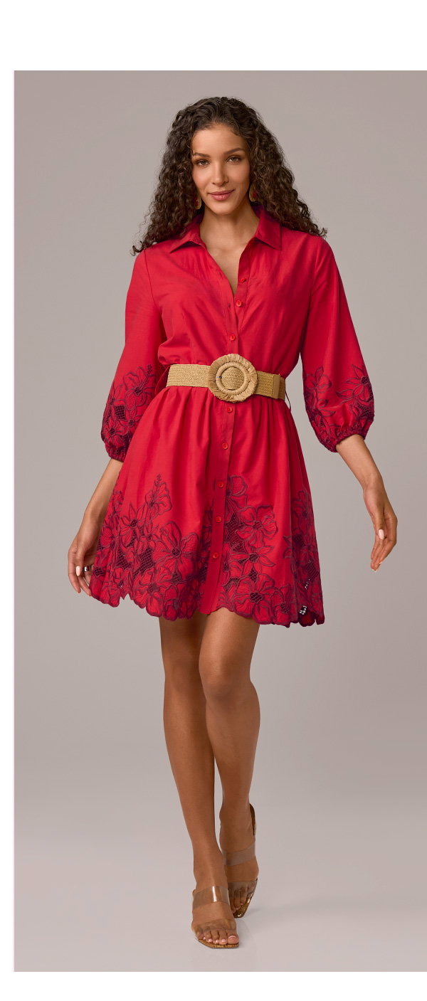 oral Eyelet Detail Shirt Dress