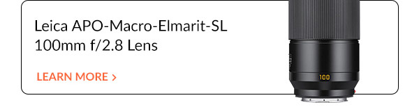 Leica APO-Macro-Elmarit-SL 100mm f/2.8 Lens