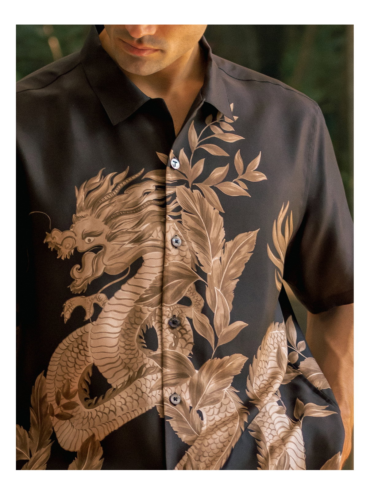 Shop Mulberry Silk Collection